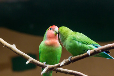 Similar image 13216843