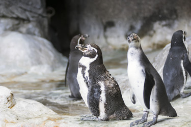 Similar image 13216844