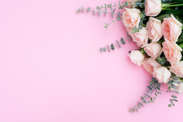 Similar image 13215708