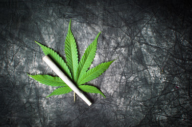 Similar image 13195568