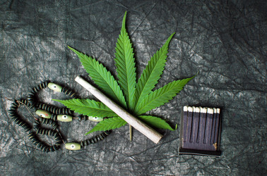 Similar image 13195570