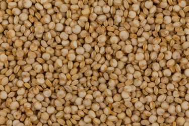 Similar image 13233086