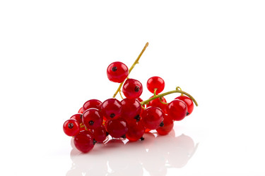 Similar image 13233101