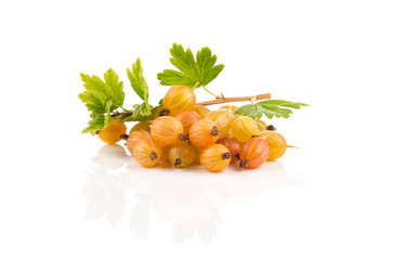 Similar image 13233124