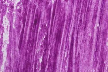 Similar image 13233029