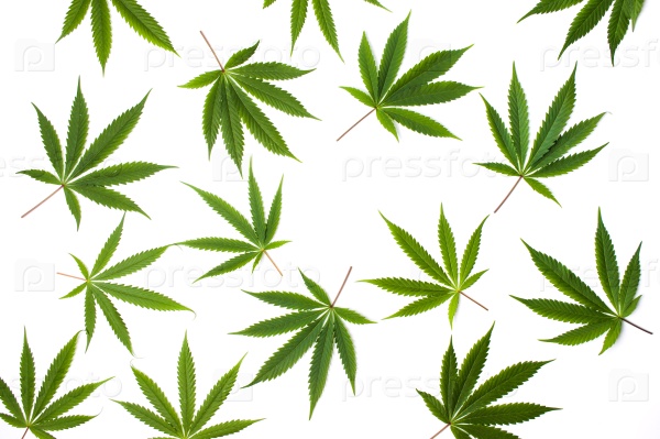 Картинки на тему марихуаны минус линда марихуана