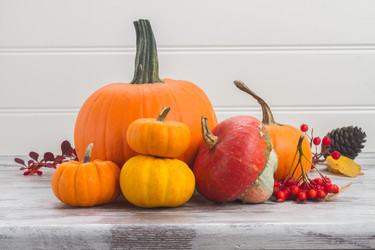 Similar image 13215852