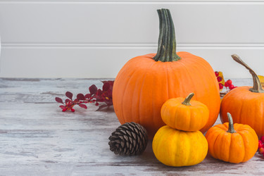 Similar image 13215898