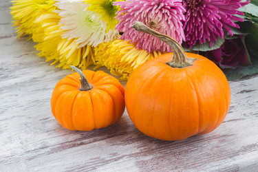 Similar image 13215919