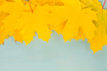 Similar image 13215920