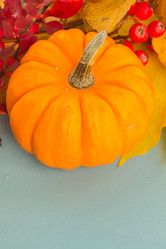 Similar image 13215941