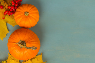 Similar image 13215980