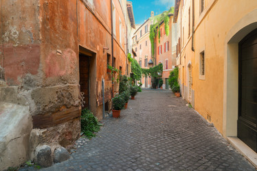 Similar image 13216077