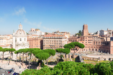 Similar image 13216119