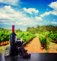 Similar image 13215539