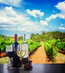 Similar image 13215541