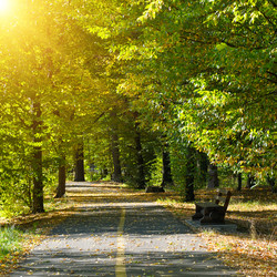 Similar image 13197041