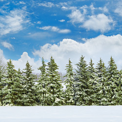 Similar image 13197046