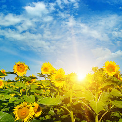 Similar image 13197047