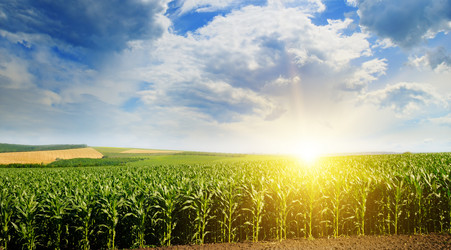 Similar image 13197051