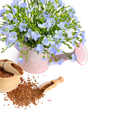 Similar image 13197053