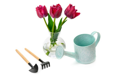 Similar image 13197057