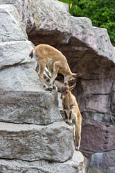 Similar image 13211332