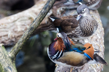 Similar image 13211333