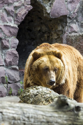 Similar image 13216690