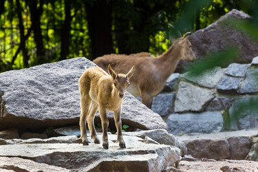 Similar image 13216691