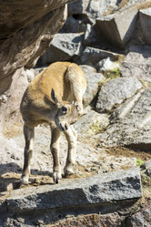 Similar image 13217152