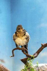 Similar image 13216378