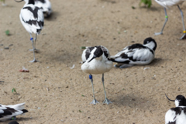 Similar image 13216379