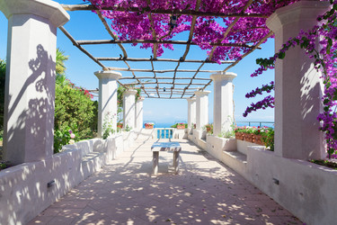 Similar image 13216913