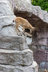 Similar image 13216847