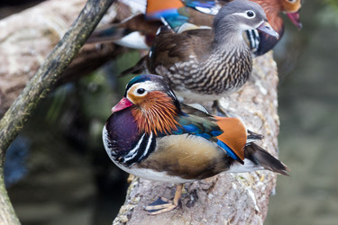 Similar image 13216848