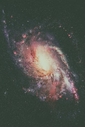 Similar image 13198027