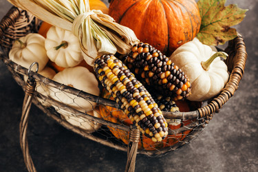 Similar image 13207586