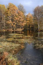 Similar image 13202086