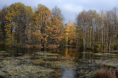 Similar image 13202104