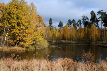 Similar image 13202105