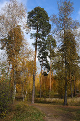 Similar image 13202144