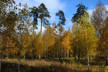 Similar image 13202164