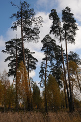 Similar image 13202205