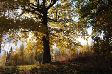 Similar image 13202406