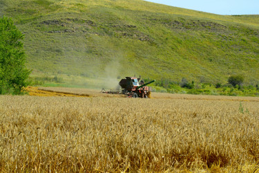 Similar image 13202213