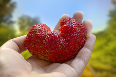 Similar image 13202215