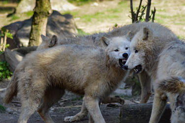 Similar image 13221051