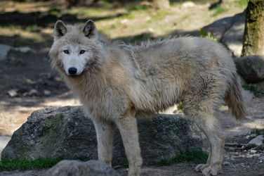 Similar image 13221069