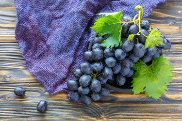 Similar image 13197011